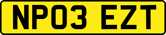 NP03EZT