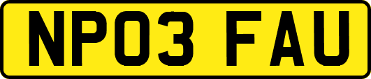 NP03FAU