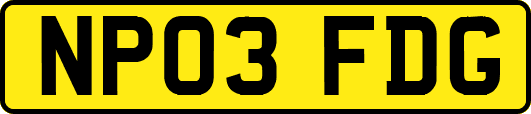 NP03FDG