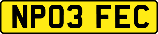 NP03FEC