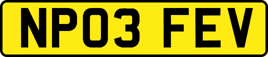 NP03FEV
