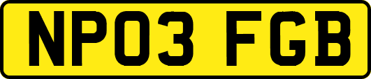 NP03FGB