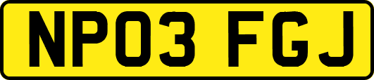 NP03FGJ