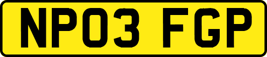 NP03FGP