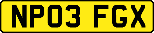 NP03FGX
