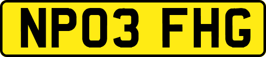 NP03FHG