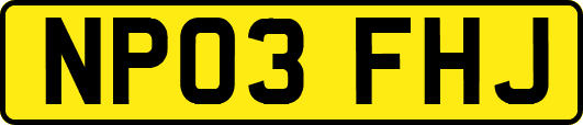 NP03FHJ