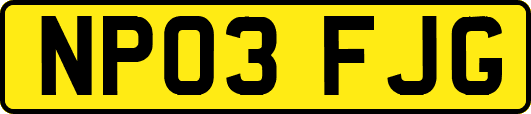 NP03FJG