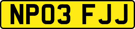 NP03FJJ
