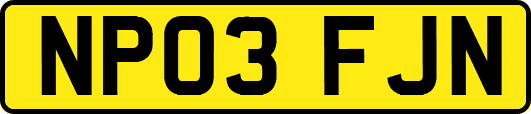 NP03FJN