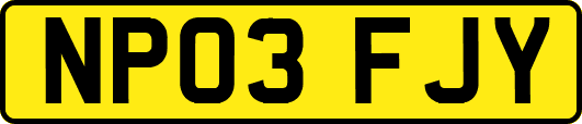 NP03FJY