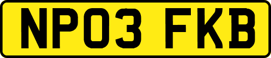 NP03FKB