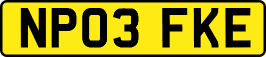 NP03FKE