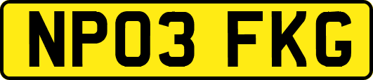 NP03FKG