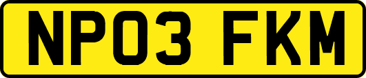 NP03FKM