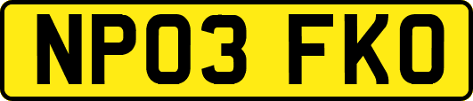 NP03FKO