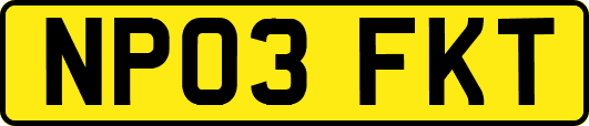 NP03FKT