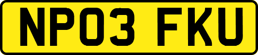 NP03FKU