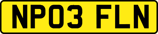 NP03FLN