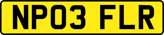 NP03FLR