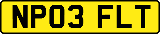 NP03FLT