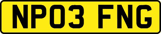 NP03FNG