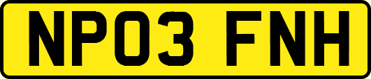 NP03FNH