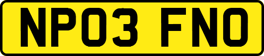 NP03FNO