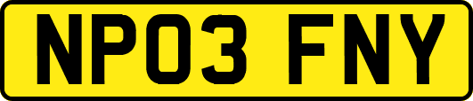 NP03FNY