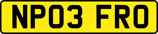 NP03FRO
