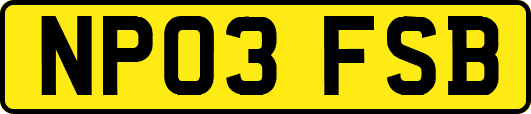 NP03FSB