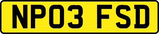 NP03FSD