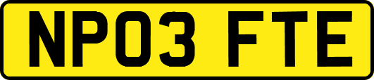 NP03FTE