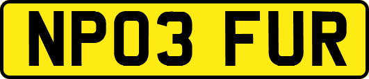 NP03FUR
