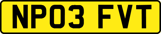 NP03FVT