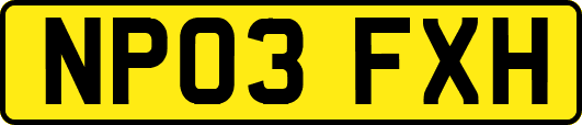 NP03FXH