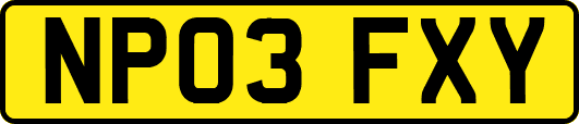 NP03FXY