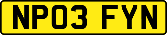 NP03FYN
