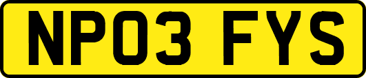 NP03FYS