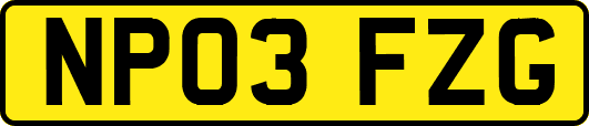 NP03FZG
