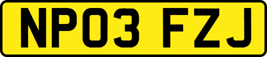NP03FZJ