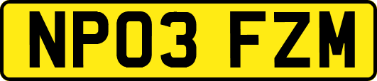 NP03FZM