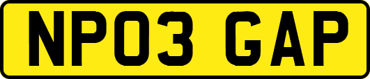 NP03GAP