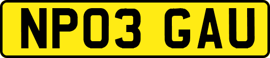 NP03GAU