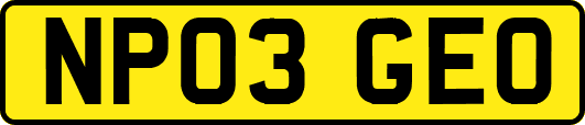 NP03GEO
