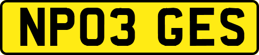 NP03GES
