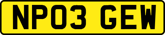 NP03GEW