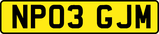 NP03GJM