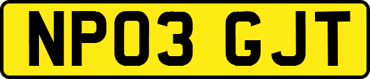 NP03GJT