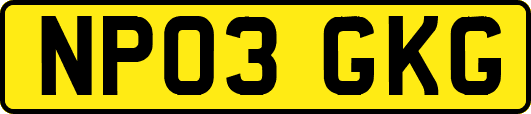 NP03GKG